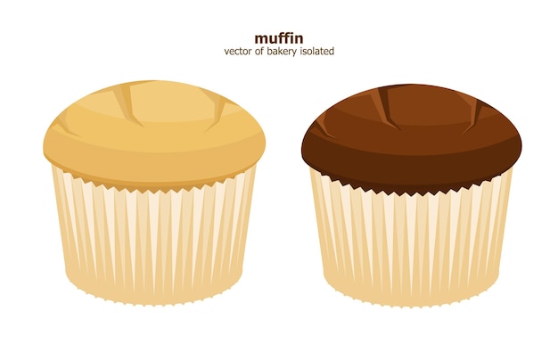 Illustrazione vettoriale di muffin al cioccolato e vaniglia