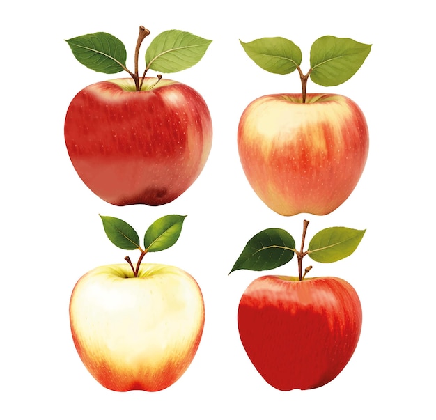 Illustration of a vintage Fuji Apple