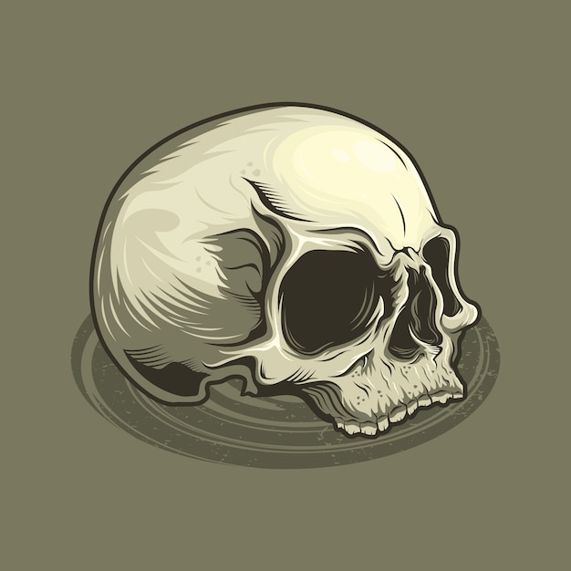 Illustration of  vintage skull head detailed  