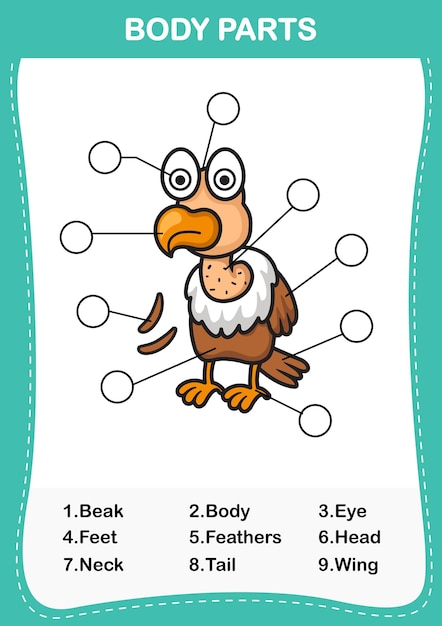 Illustration of vulture vocabulary part of bodywrite the correct numbers of body parts