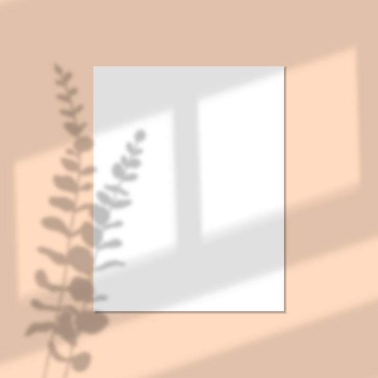 Vector illustration of a wall paper display with realistic leaf and window shadow overlay mockup design