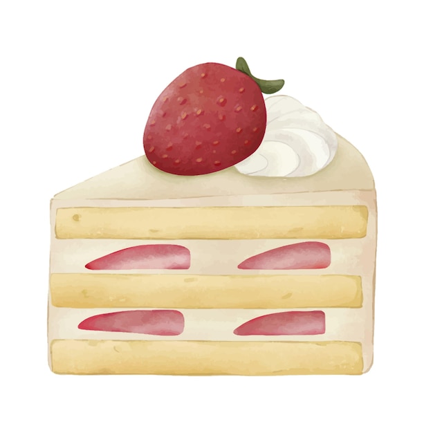 illustration watercolor cake dessert with fruit