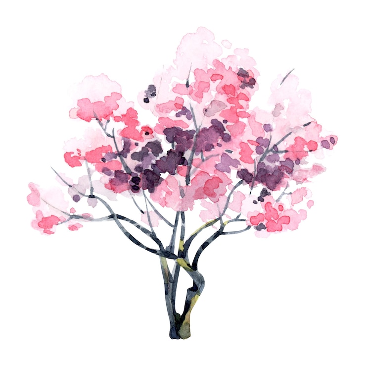 Vector illustration of a watercolor tree with a pink crown