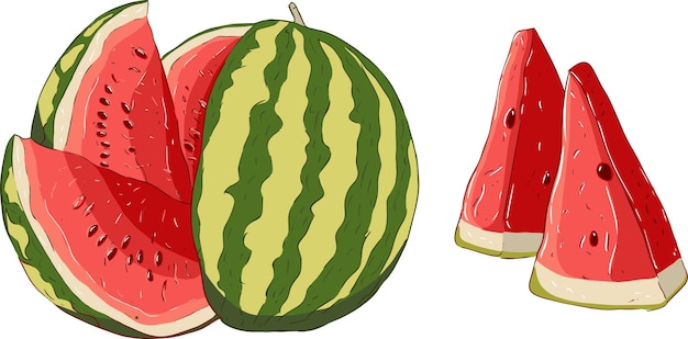 Illustration watermelon whole and pieces Vector illustration