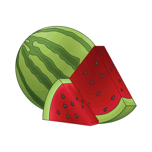 Vector illustration of watermelon