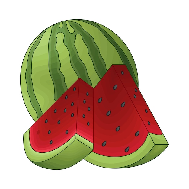 Illustration of watermelon