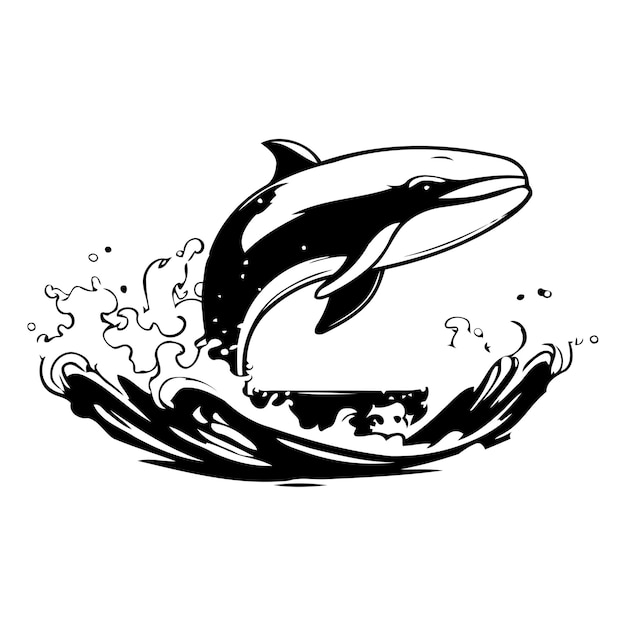 Illustration of a whale jumping out of the water Vector illustration