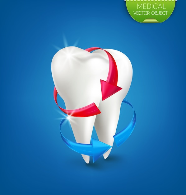 Vector illustration: white tooth on a blue background with a red and blue arrow.