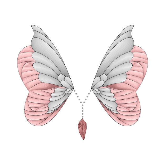 Illustration of wing