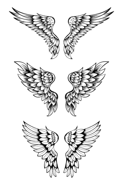 Vector illustration of wings collection set