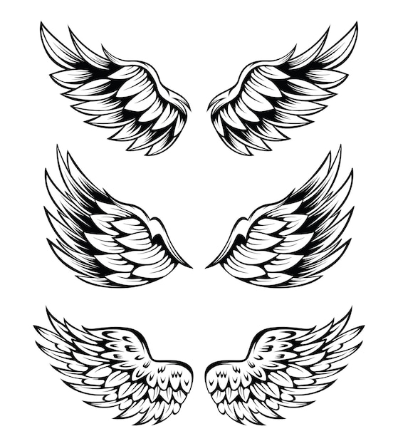 Vector illustration of wings collection set