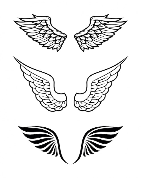 Illustration Of Wings Collection Set