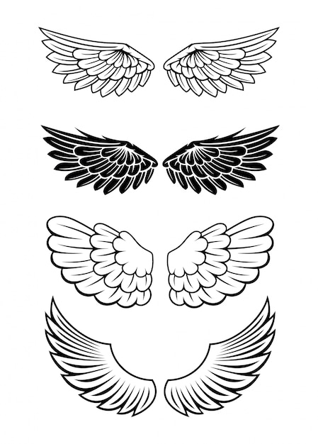 Illustration Of Wings Collection Set