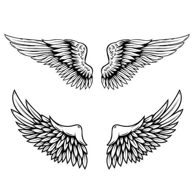 Иллюстрация крыльев в стиле татуировки, изолированные на белом фоне. Элемент дизайна для логотипа, этикетки, значка, знака. Векторная иллюстрация