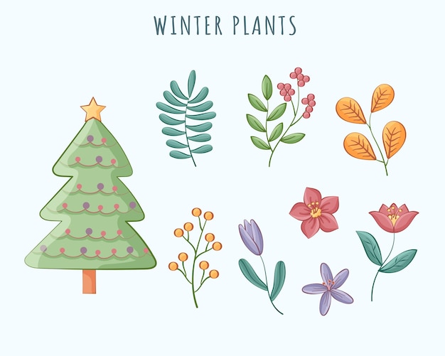 Vector illustration of winter plants and flowers with cute style