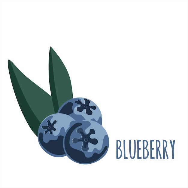 Illustration with blueberry