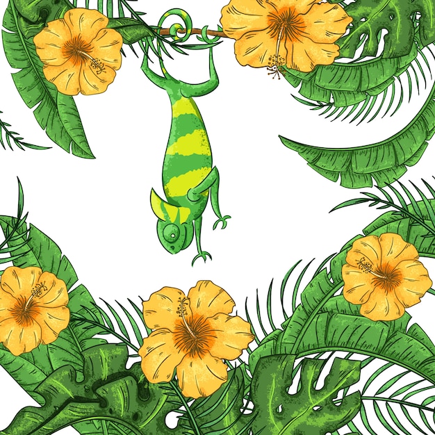 Illustrazione con camaleonte, ibisco e piante. giungla esotica