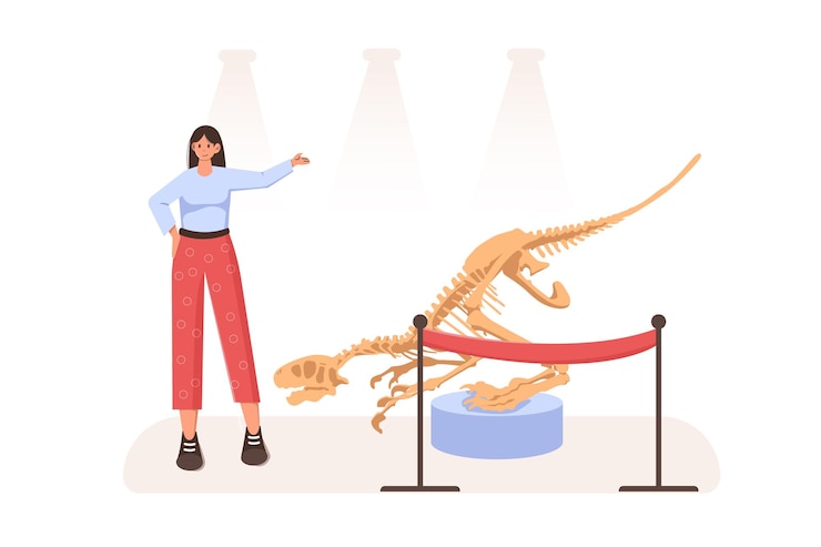 Vector an illustration with a girl and a paleontological museum containing a dinosaur skeleton