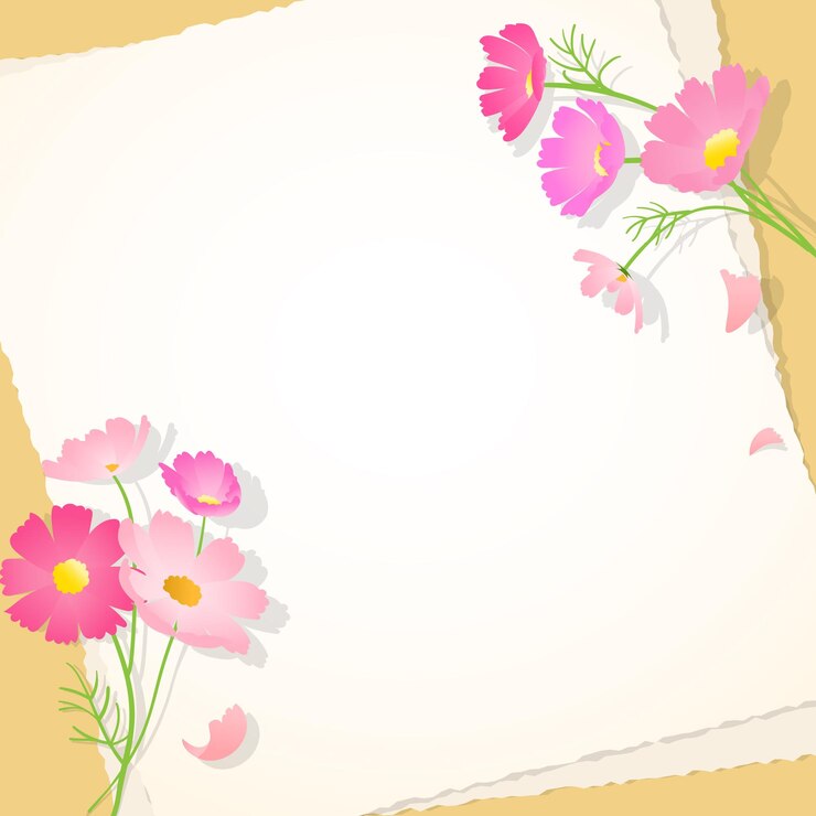 Vector illustration with pink cosmos flowers and letter papers.