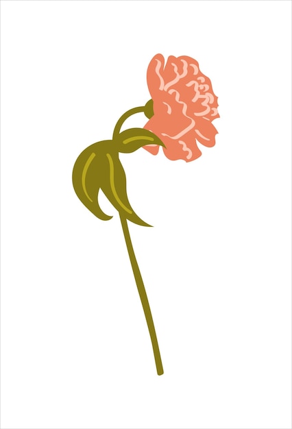 Vector illustration with pion. flower for a bouquet. spring vector of isolated on white background.