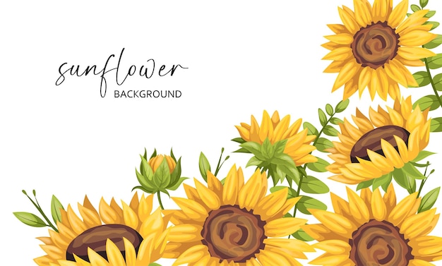 Illustration with sunflowers decordecorative frame