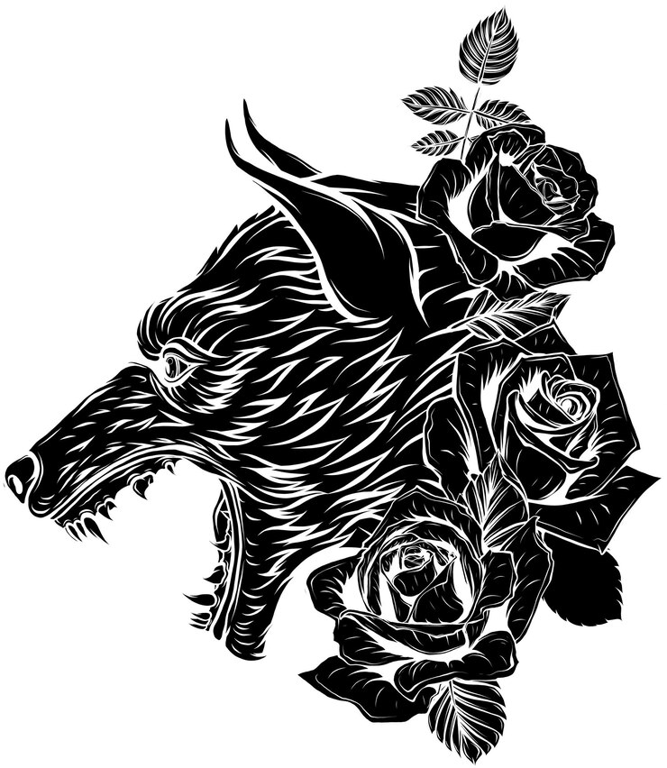 Vector whitet 배경에 늑대와 장미의 그림