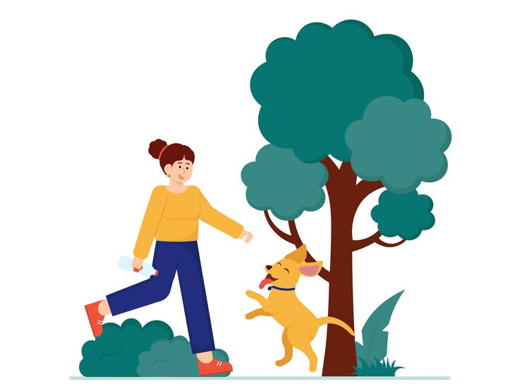 Vector illustration a woman playing with a dog in the park