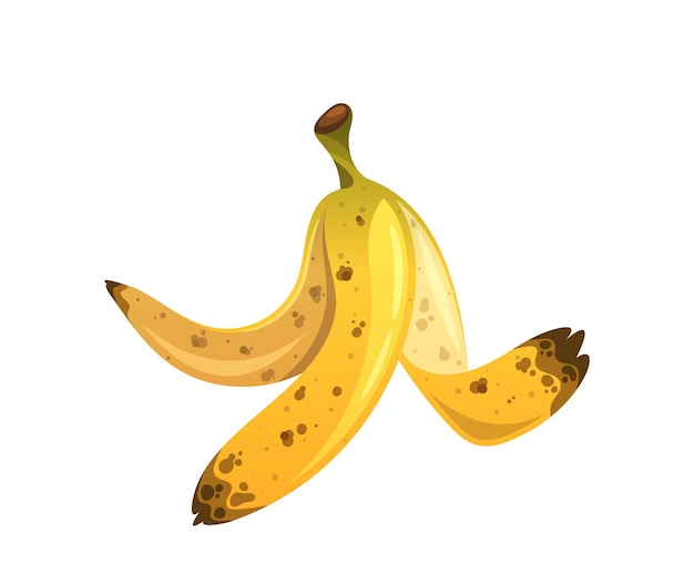 illustration of a yellow banana peel with brown spots isolated on white background vector image