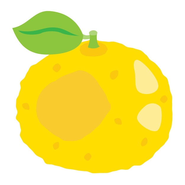 Illustration of the yellow citron