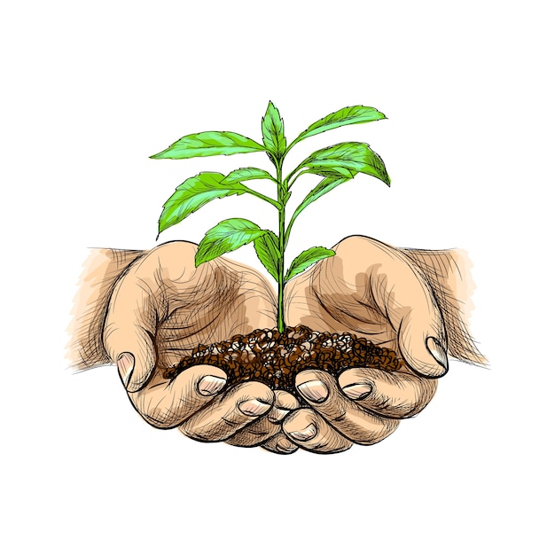 Vector illustration of young plant with ground in hands. palms holding a sprout in sketch style  on white background