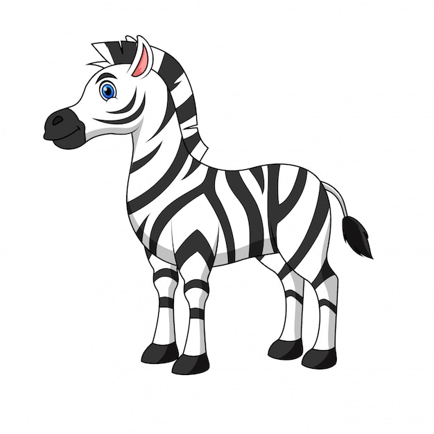 Illustration of a zebra cartoon