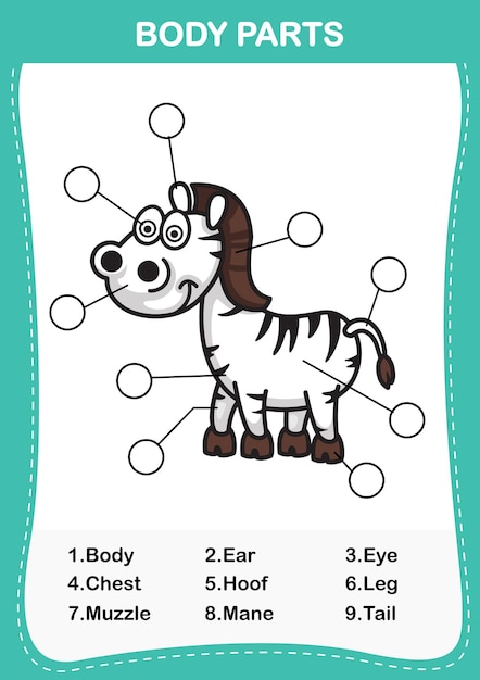 Illustrazione della parte del corpo del vocabolario zebra scrivi il numero corretto delle parti del corpo