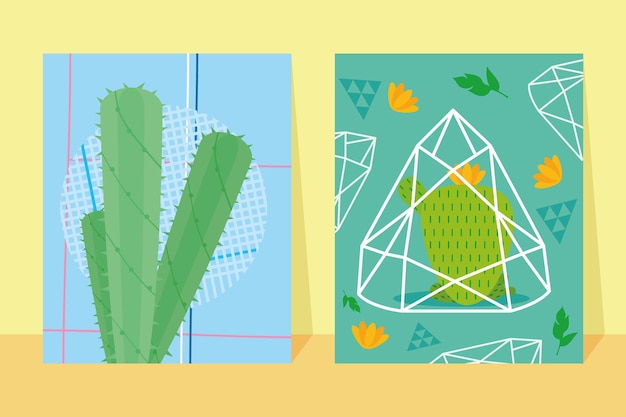 Illustrations of cactus plants