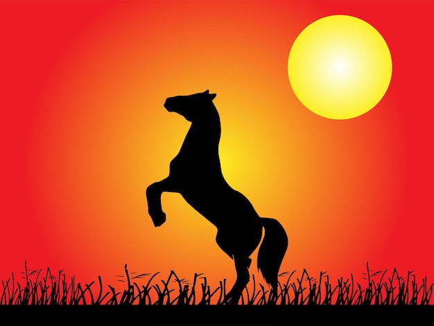 Иллюстрации силуэт лошади на фоне заката