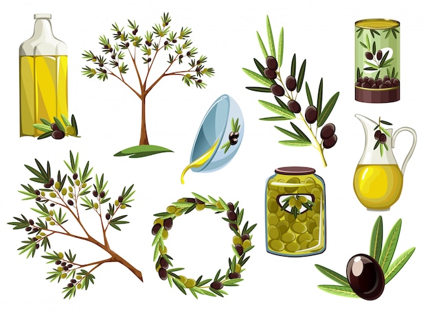 Illustrations for olive oil labels, packaging design, natural products, restaurant. olive decorative icons. hand drawn illustration templates for olive oil packaging. eco design