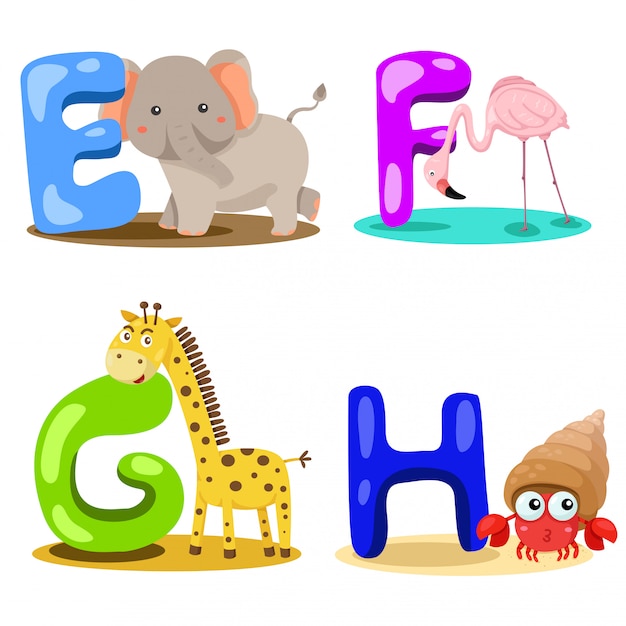 Illustrator alphabet animal LETTER - e,f,g,h