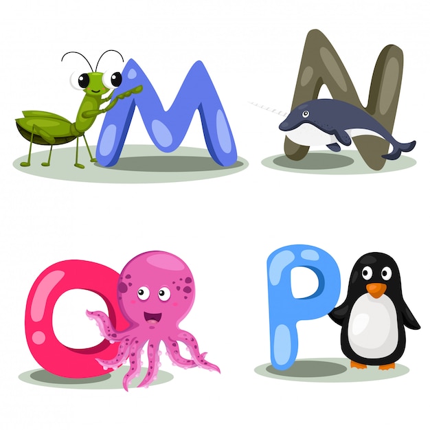 Vector illustrator alphabet animal letter - m,n,o,p