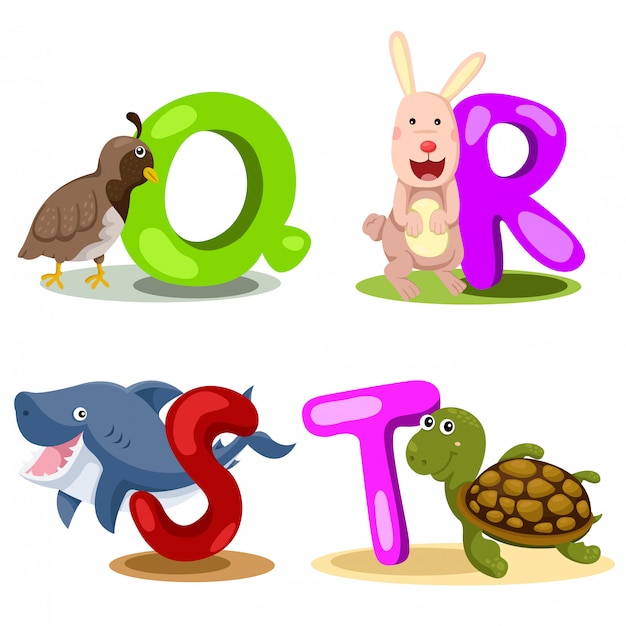 Illustrator alphabet animal letter - q, r, s, t