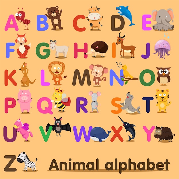 Illustrator of Animal alphabet az