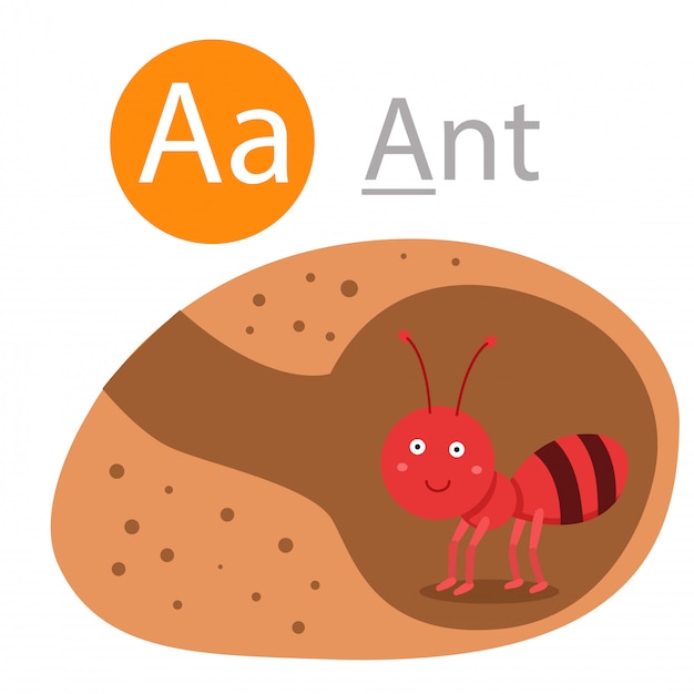 Illustrator of a for ant animal