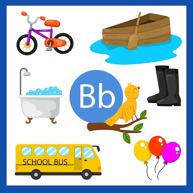 Illustrator of b alphabet for kids