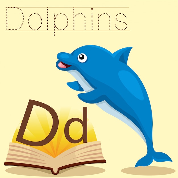 Illustratore di d per vocabolario di delfini