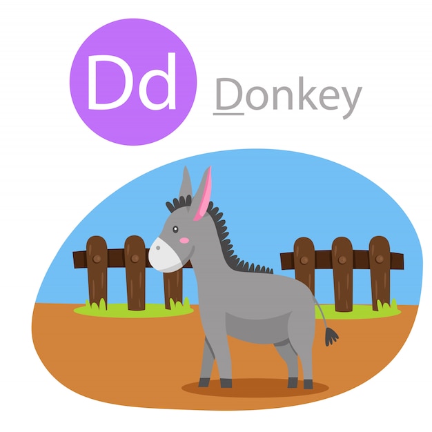 Illustrator of d for donkey animal