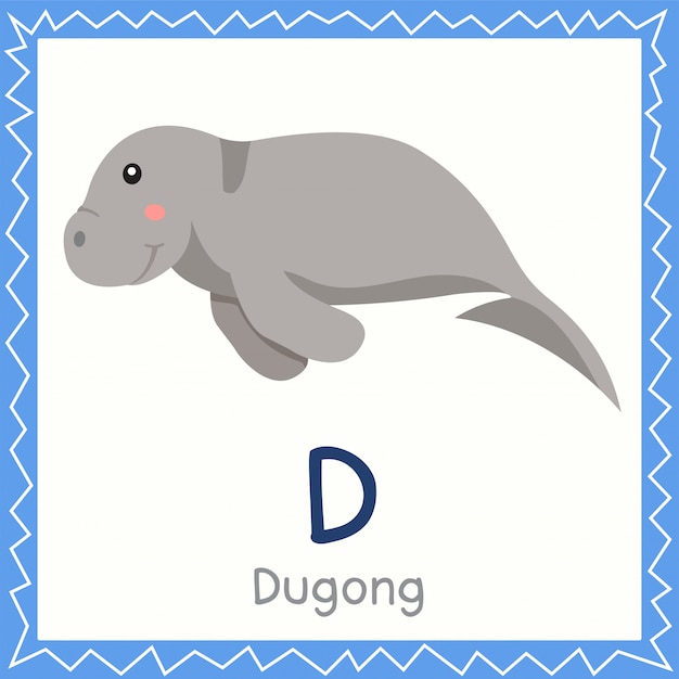 Illustrator of D for Dugong animal