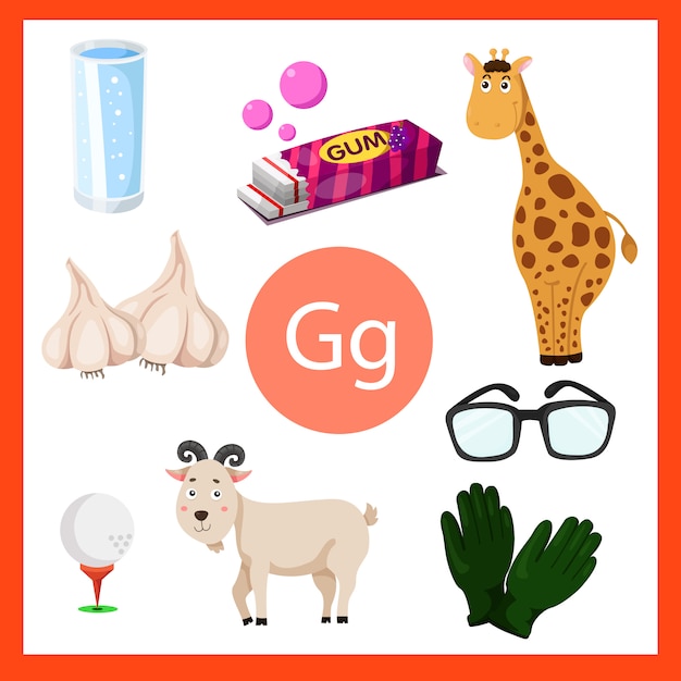 Illustrator of G alphabet for kids