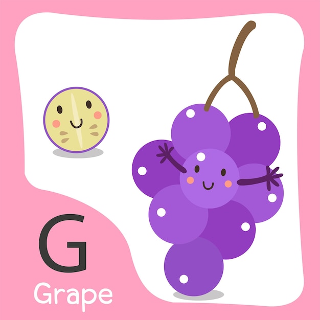Illustrator of a grape fruit cute alphabet