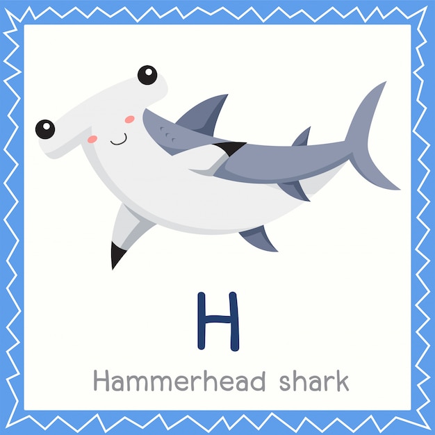 Shark Flashcard Stock Illustrations – 47 Shark Flashcard Stock