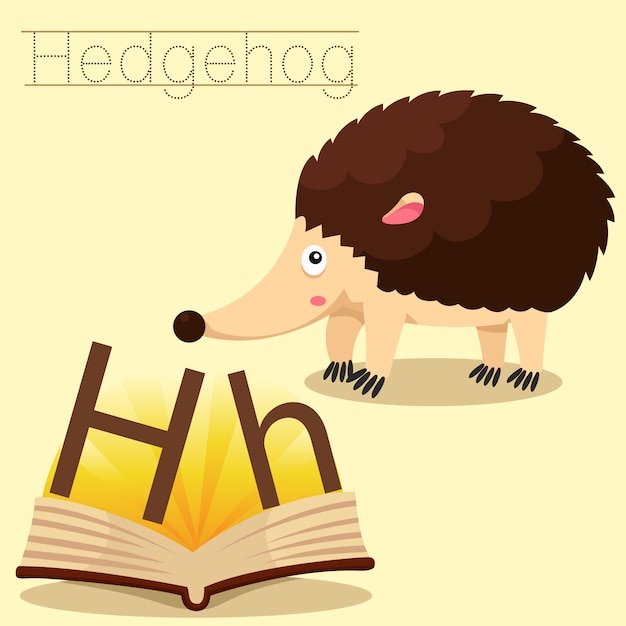 Illustratore di h per il vocabolario hedgehog