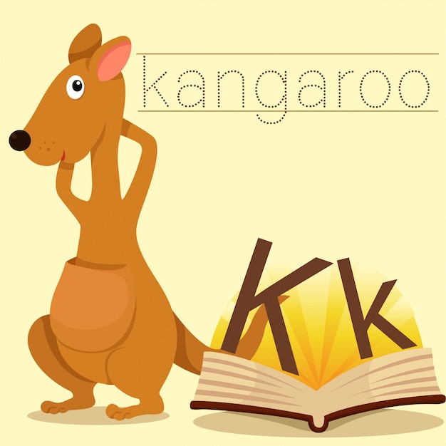 Vector illustrator of k for kangaroo vocabulary