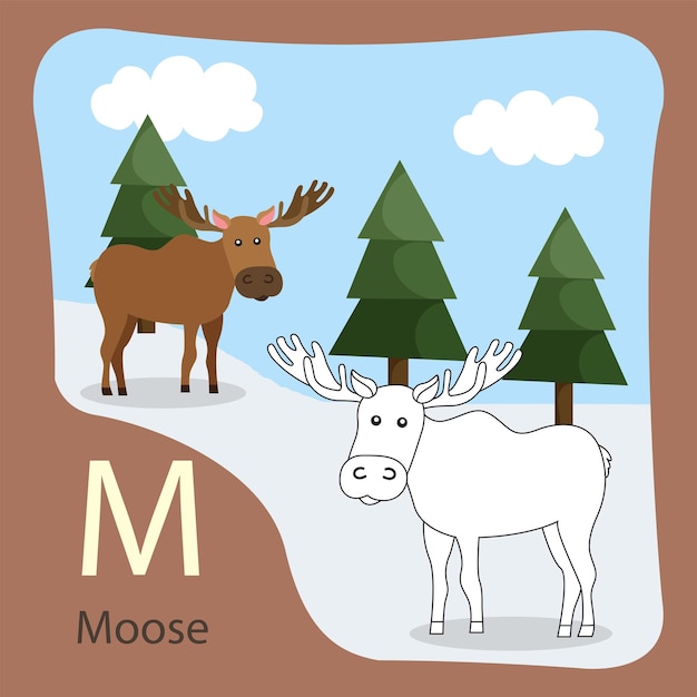 illustrator of moose isolated and coloring